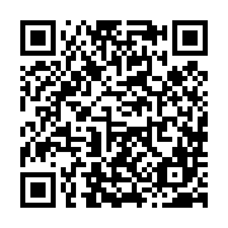 QR code for X38486