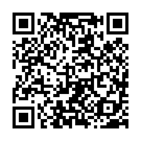 QR code for X38499