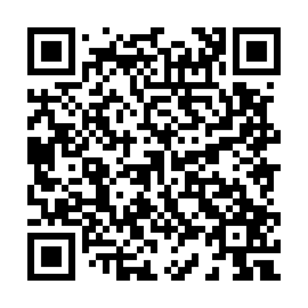 QR code for X38507