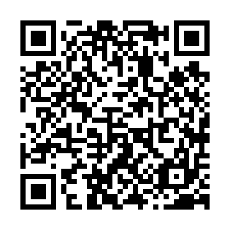 QR code for X38617