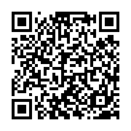 QR code for X38637