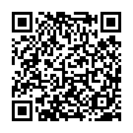 QR code for X38650