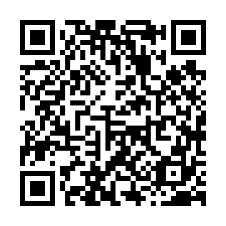 QR code for X38672