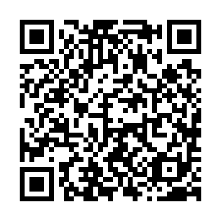 QR code for X38791