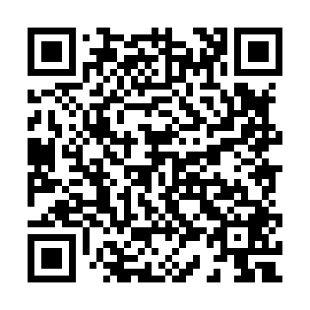 QR code for X38848