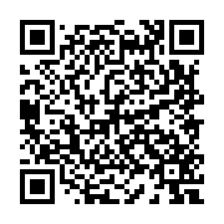 QR code for X38957