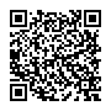 QR code for X38969