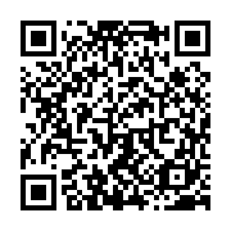 QR code for X39160