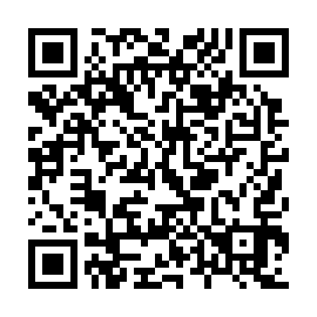 QR code for X40313