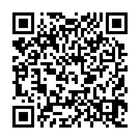 QR code for X41303