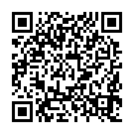 QR code for X41393