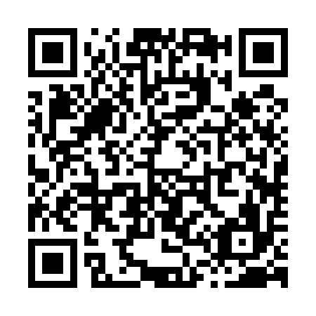 QR code for X42516