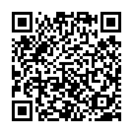 QR code for X42638