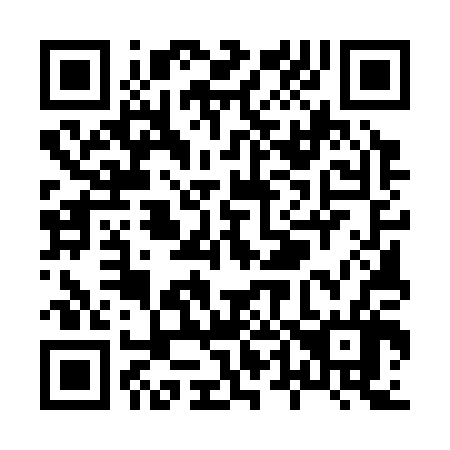 QR code for X45306
