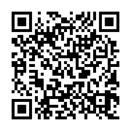QR code for X45309