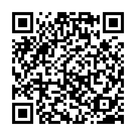 QR code for X45938