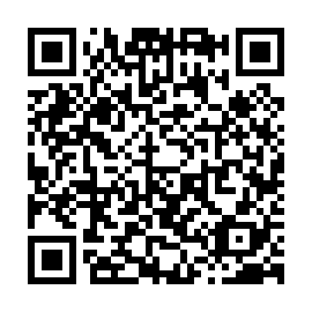 QR code for X46028