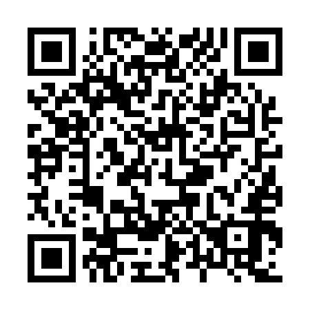 QR code for X46152