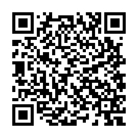 QR code for X46161