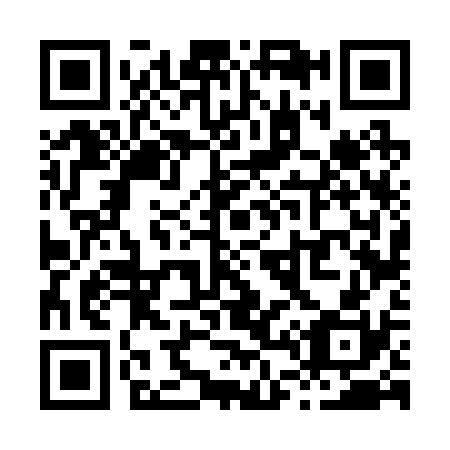 QR code for X46230
