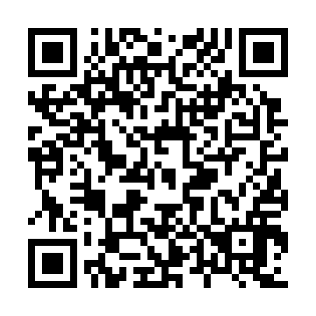 QR code for X46316