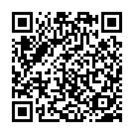 QR code for X46368