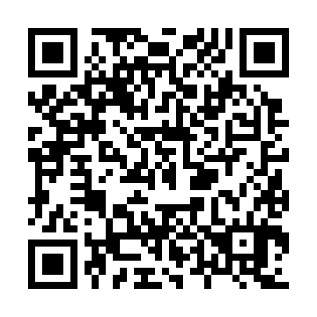 QR code for X46384