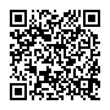 QR code for X46390