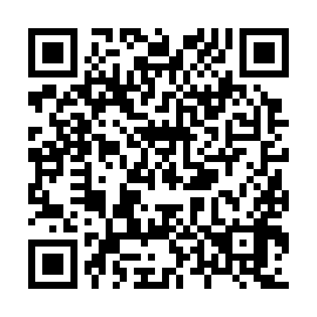QR code for X46398