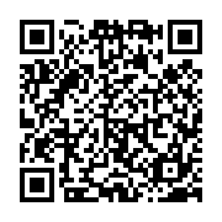 QR code for X46437