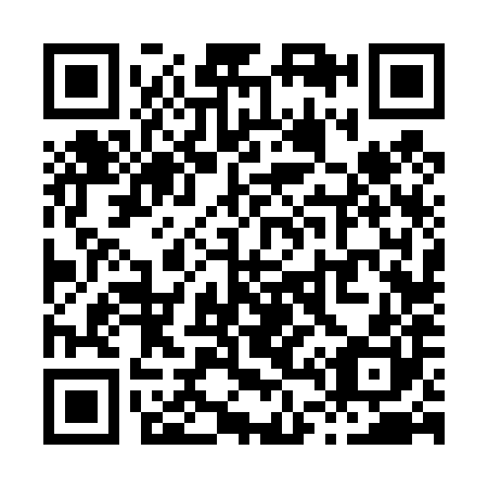 QR code for X46480