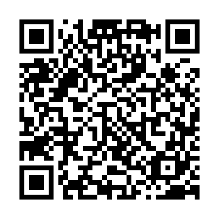 QR code for X46960