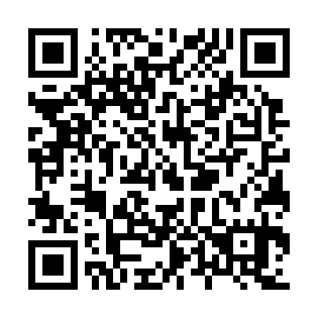 QR code for X47335