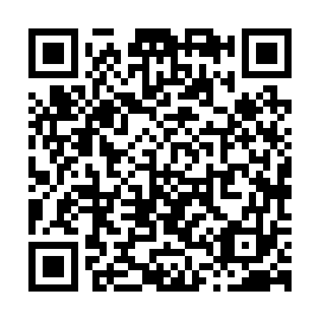 QR code for X48273