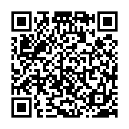 QR code for X48533