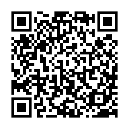 QR code for X48581