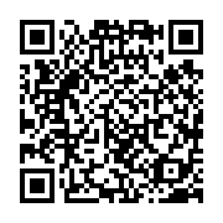 QR code for X48619