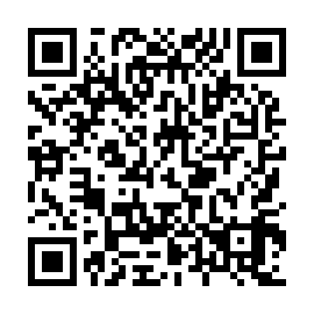 QR code for X48919