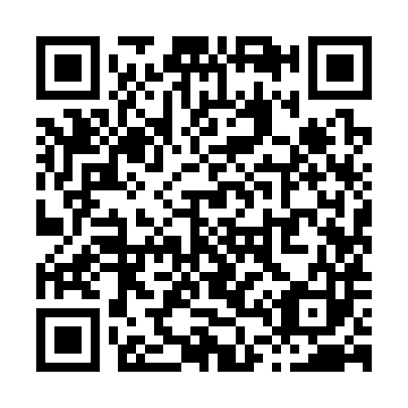 QR code for X49383