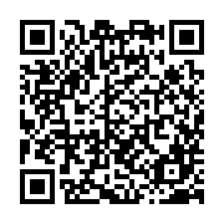 QR code for X49386