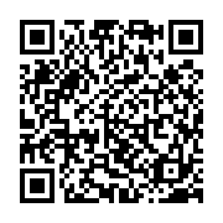 QR code for X49533