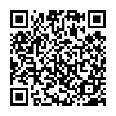 QR code for X49602