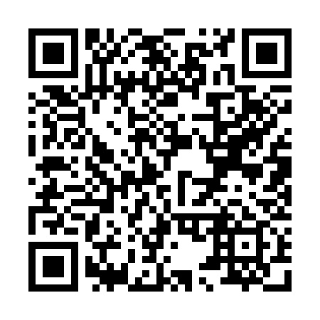 QR code for X51339