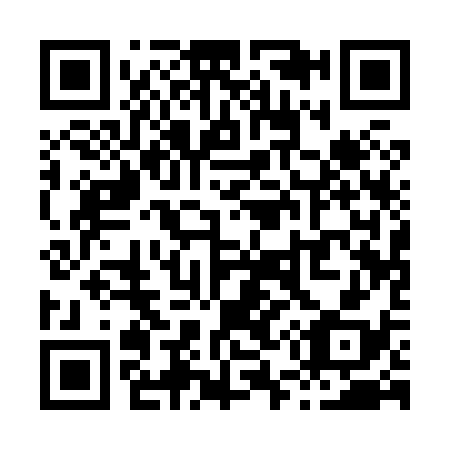 QR code for X51838