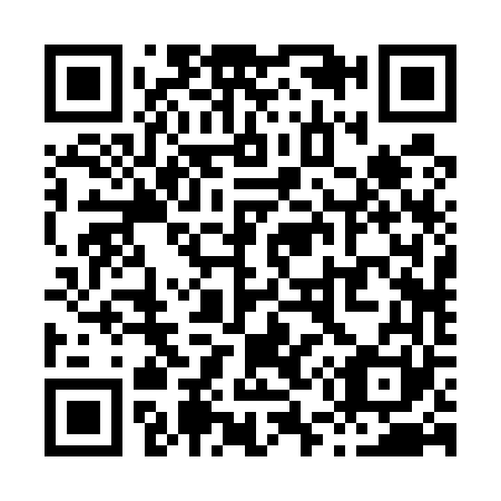 QR code for X52561