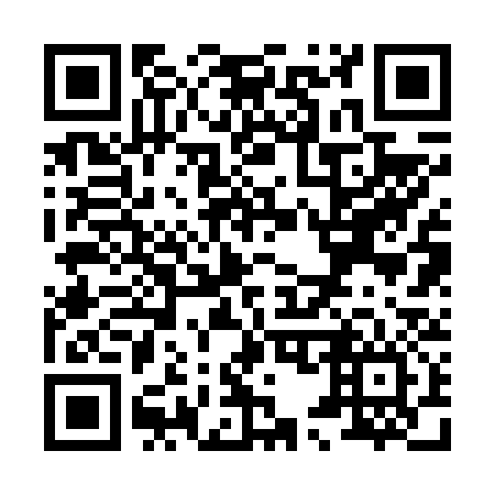 QR code for X52636
