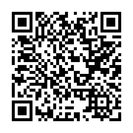 QR code for X52696