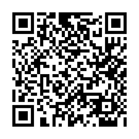 QR code for X53282