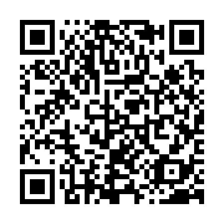 QR code for X53338