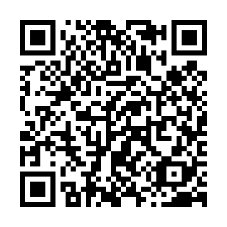 QR code for X53428